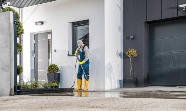 Best Roof Washing  in Roosevelt Gardens, FL